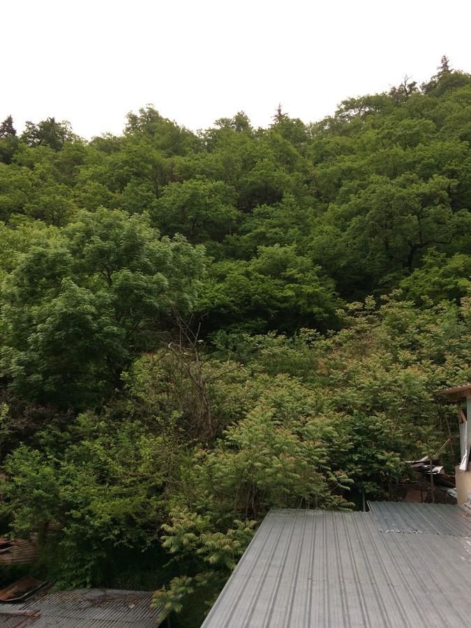 Гостевой дом JODEO Боржоми-24