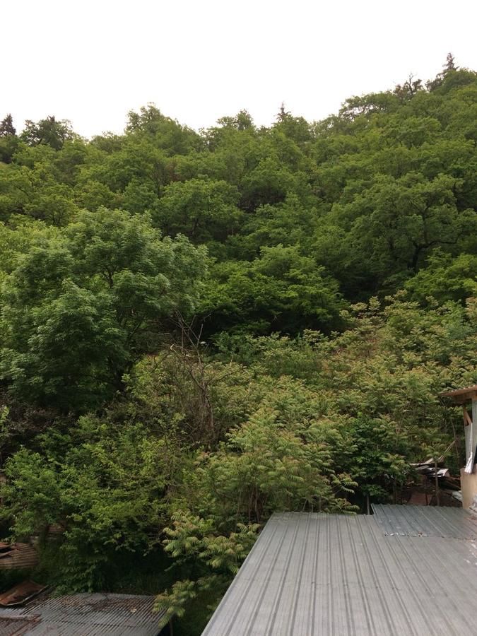 Гостевой дом JODEO Боржоми-38