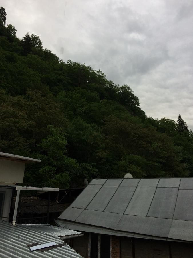 Гостевой дом JODEO Боржоми-41